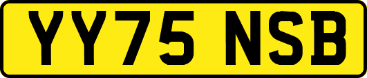 YY75NSB
