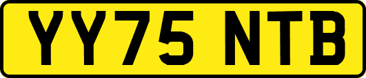 YY75NTB