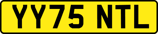 YY75NTL