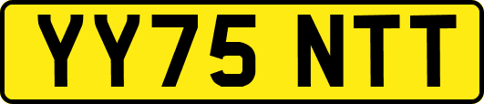 YY75NTT