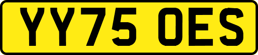 YY75OES