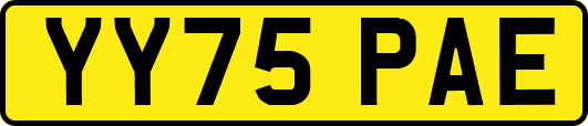 YY75PAE