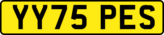 YY75PES