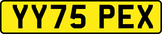 YY75PEX