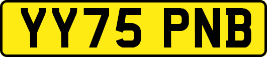 YY75PNB