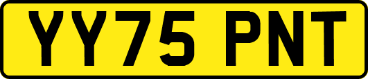 YY75PNT