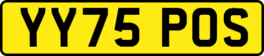 YY75POS