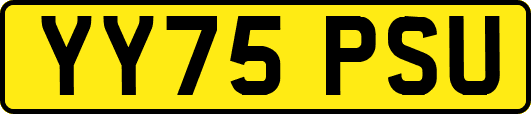 YY75PSU
