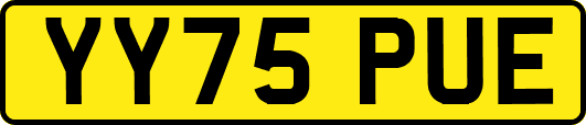 YY75PUE