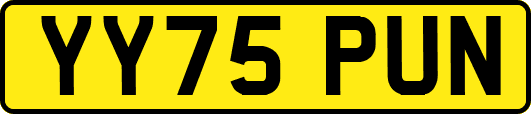 YY75PUN