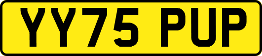 YY75PUP