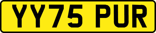 YY75PUR