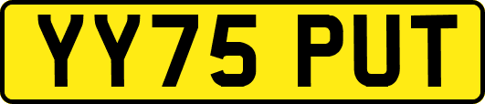 YY75PUT