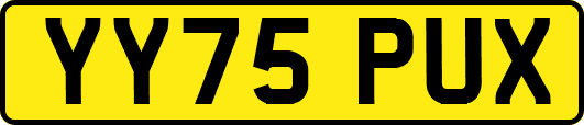 YY75PUX