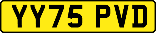 YY75PVD