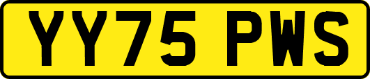 YY75PWS