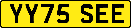 YY75SEE