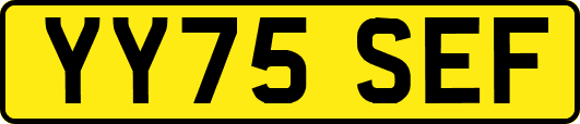 YY75SEF