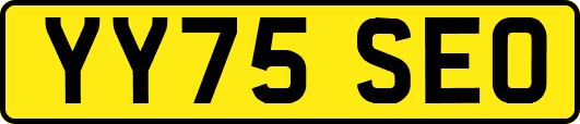 YY75SEO