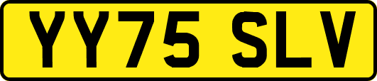 YY75SLV
