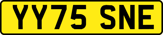 YY75SNE