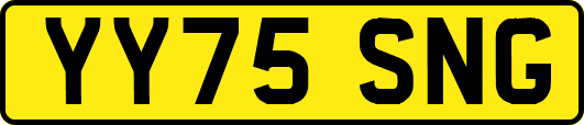 YY75SNG