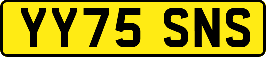 YY75SNS