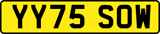 YY75SOW