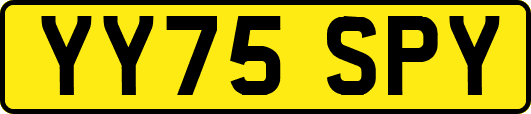YY75SPY