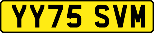 YY75SVM