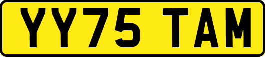 YY75TAM