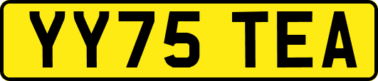 YY75TEA
