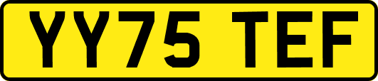 YY75TEF