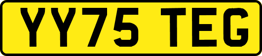 YY75TEG
