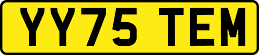 YY75TEM