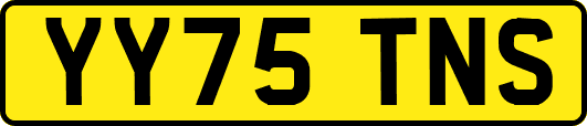 YY75TNS