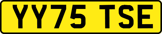 YY75TSE