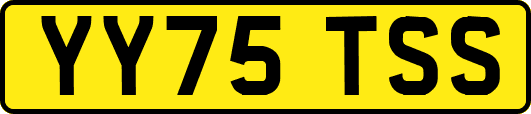 YY75TSS
