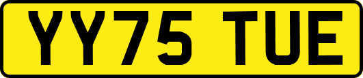 YY75TUE