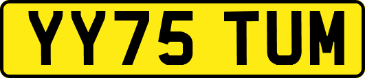 YY75TUM