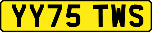 YY75TWS