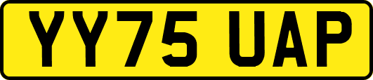 YY75UAP