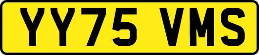 YY75VMS