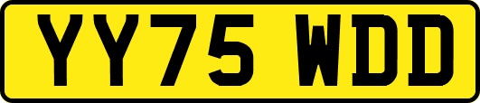 YY75WDD
