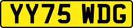 YY75WDG