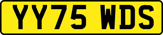 YY75WDS