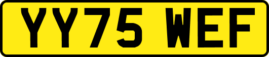 YY75WEF