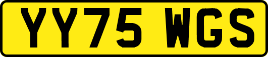 YY75WGS