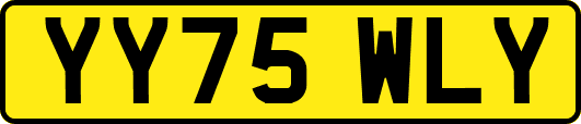 YY75WLY