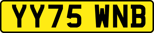 YY75WNB